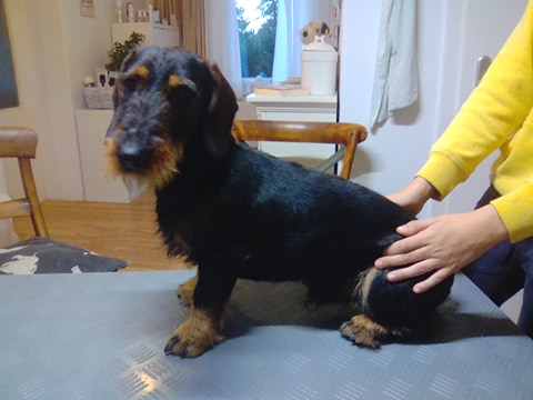 71149747_1160436570830943_7020618756825022464_n