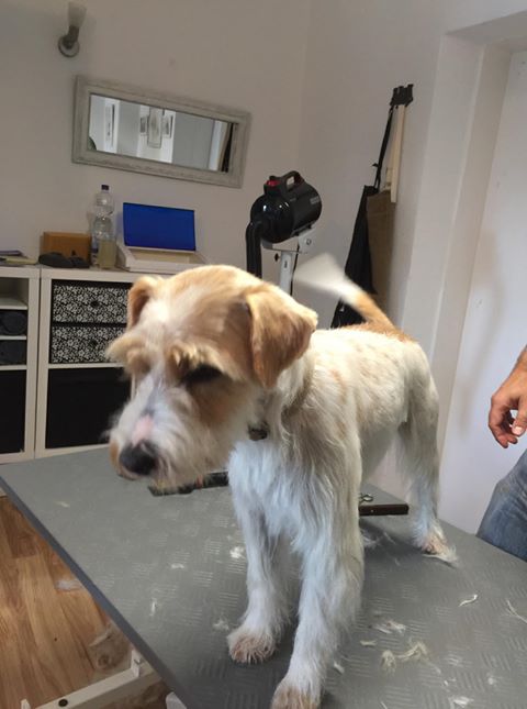 71825927_679815822528628_4279180168745975808_n